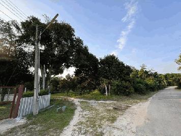 ขายที่ดิน สวนทุเรียน เมืองระยอง วิวภูเขา ติดแหล่งน้ำธรรมชาติ ใกล้ทะเล เนื้อที่ 4 ไร่ 3 งาน 29 ตร.ว. โทร 0852619111 เจ้าของขายเอง